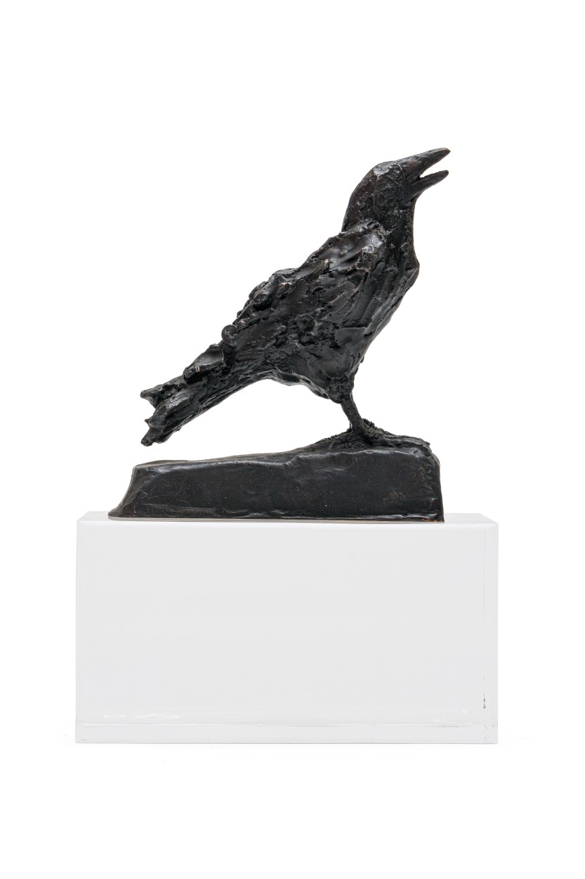 The Crowness Series “Hope”