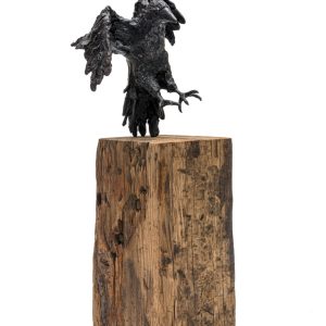 The Crowness Series “The Claim”