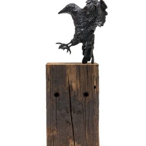 The Crowness Series “The Claim”
