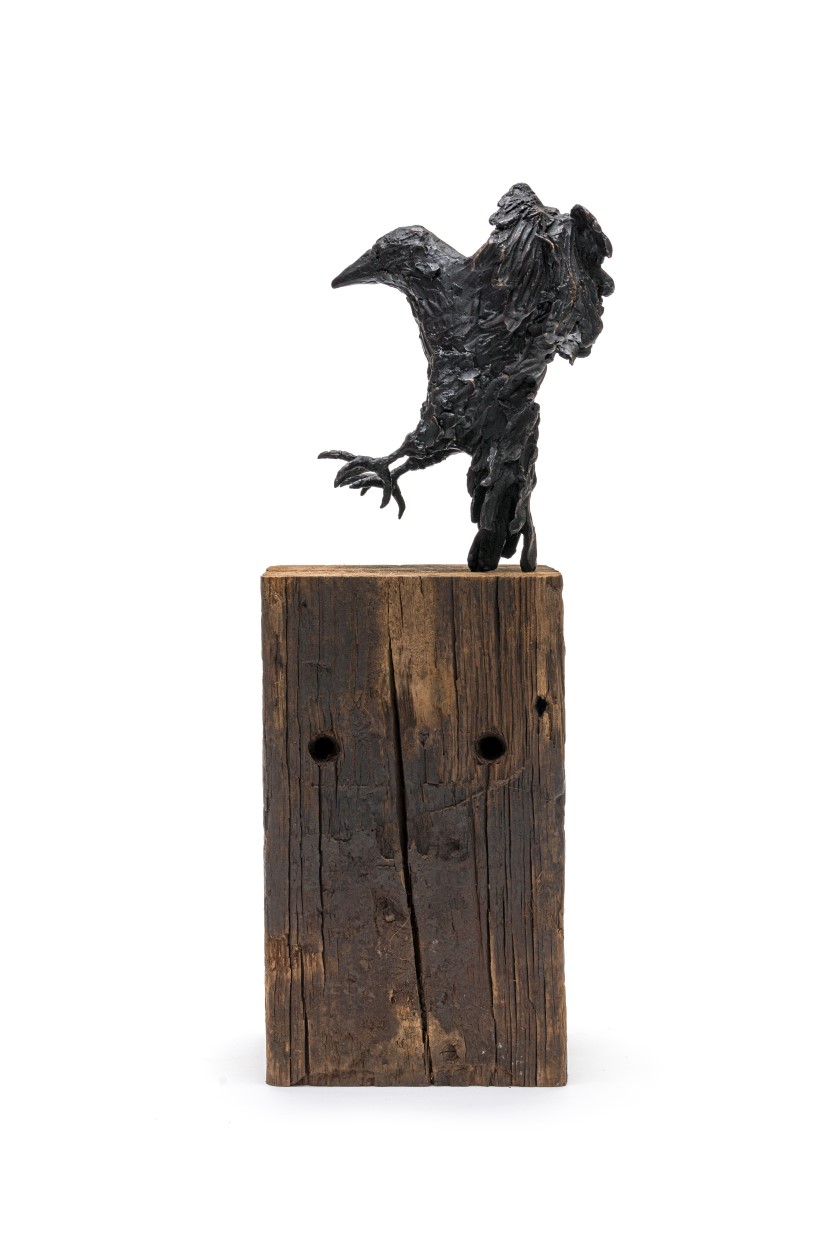 The Crowness Series “The Claim”