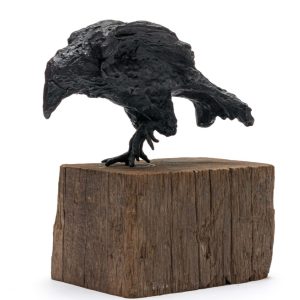 The Crowness Series "The Messenger"
