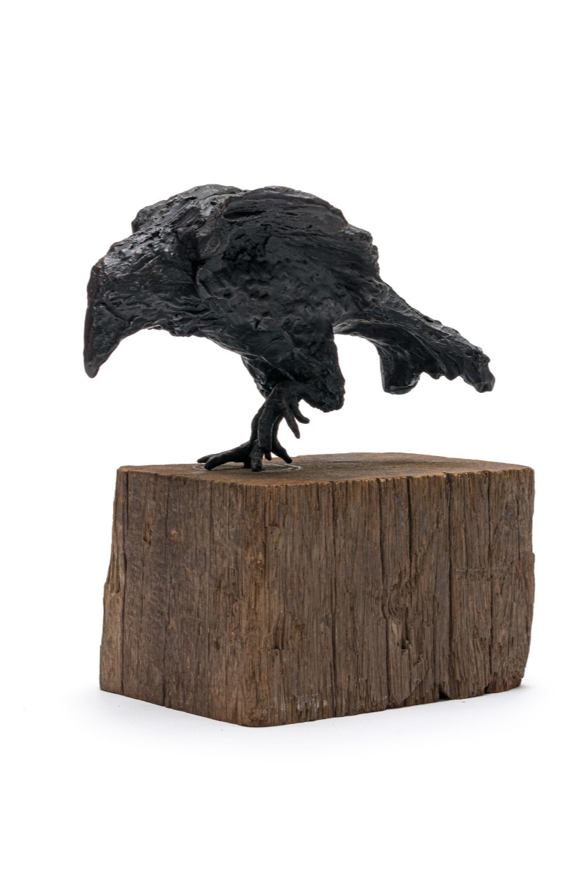 The Crowness Series "The Messenger"