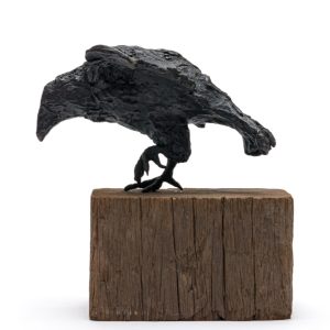 The Crowness Series "The Messenger"