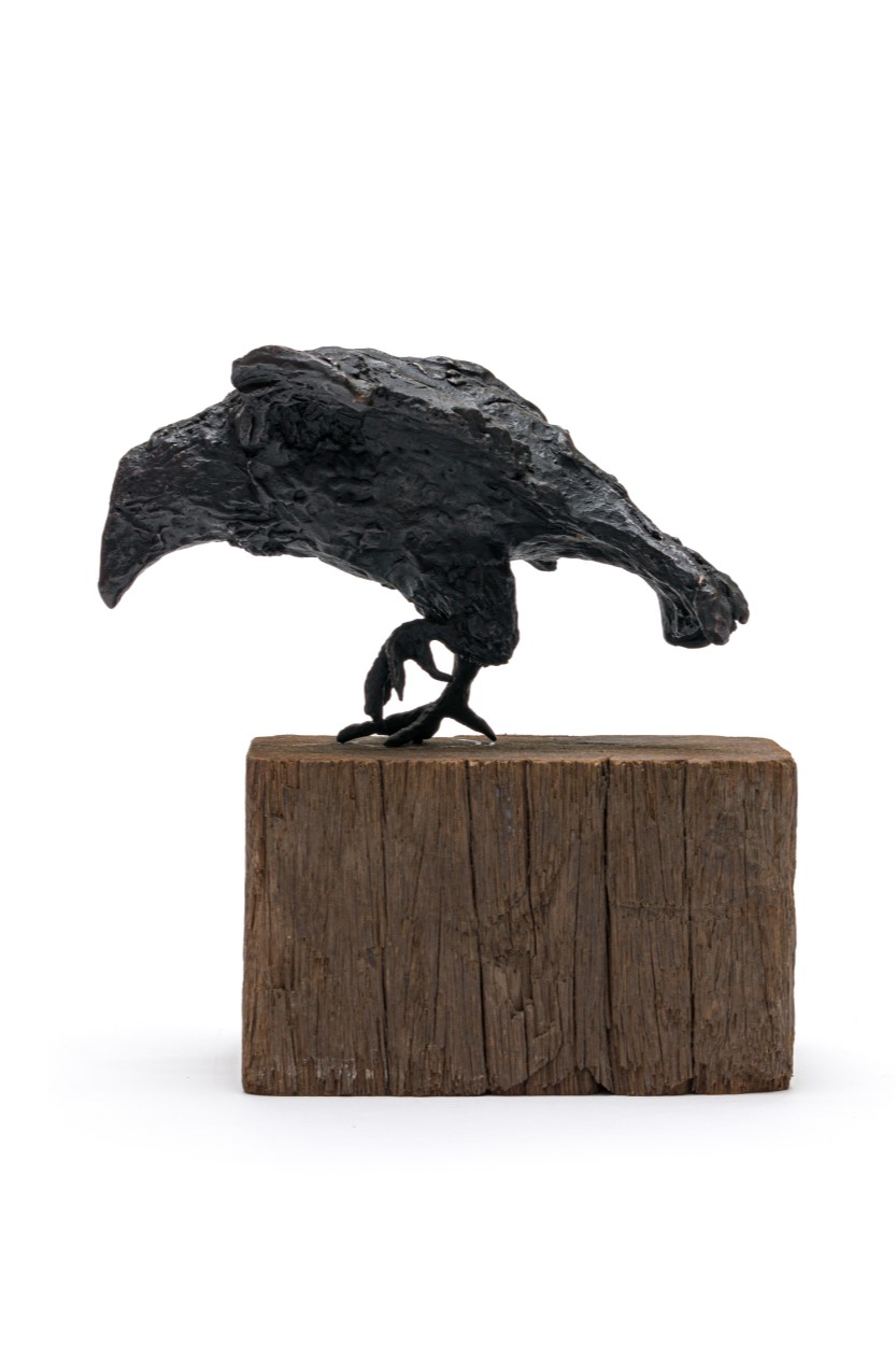 The Crowness Series "The Messenger"